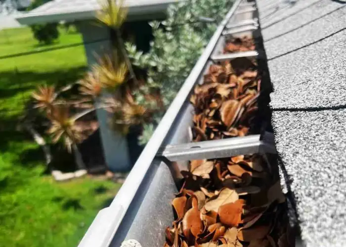 Brooklyn gutter cleaning home page